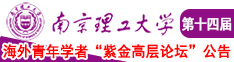 粉嫩屄被插视频南京理工大学第十四届海外青年学者紫金论坛诚邀海内外英才！